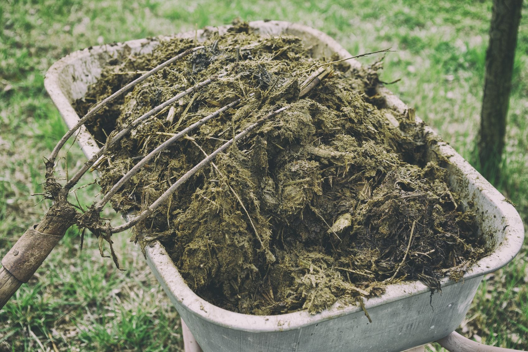 Compost Benefits