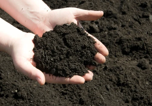 Organic Farming