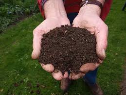 Organic Manure